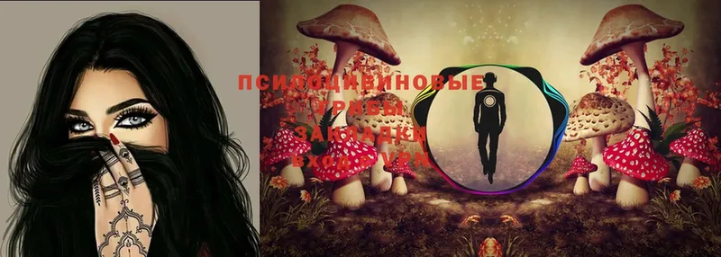 Псилоцибиновые грибы Magic Shrooms  сколько стоит  Дегтярск 